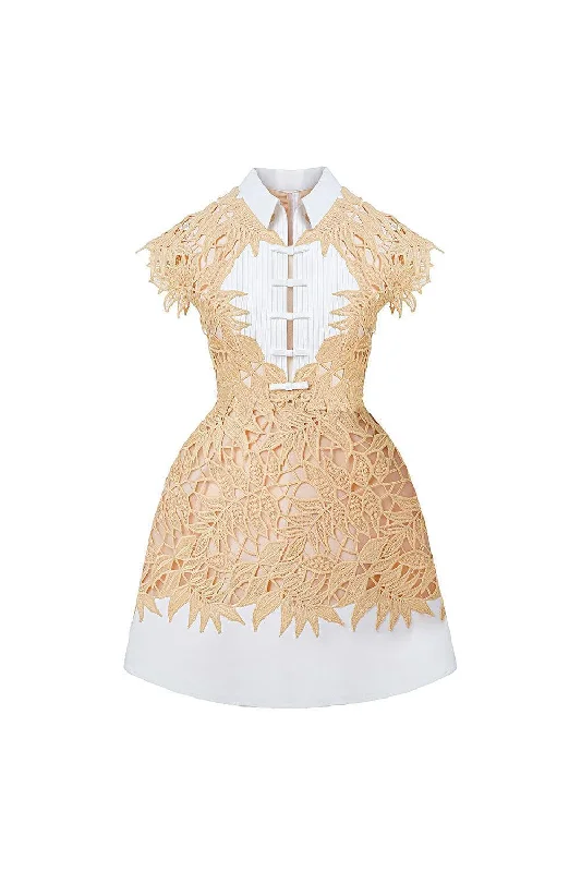 Mini dresses with geometric prints for a modern aestheticRachel A-line Collared Neck Lace Mini Dress Mini dresses with geometric prints for a modern aestheticRachel A-line Collared Neck Lace Mini Dress